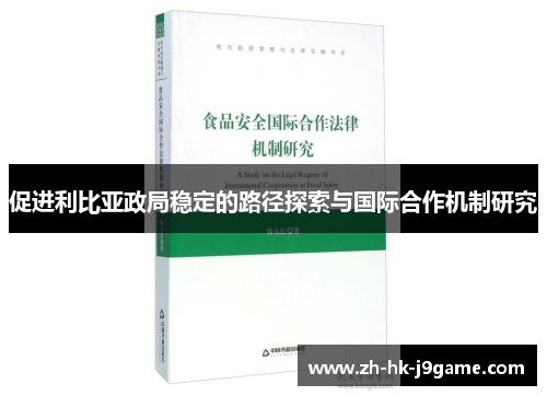 促进利比亚政局稳定的路径探索与国际合作机制研究