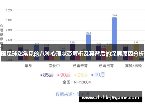 国足球迷常见的八种心理状态解析及其背后的深层原因分析