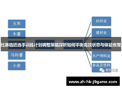 比赛临近选手训练计划调整策略探析如何平衡竞技状态与体能恢复